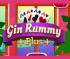 Gin Rummy Plus