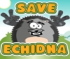 Save Echidna